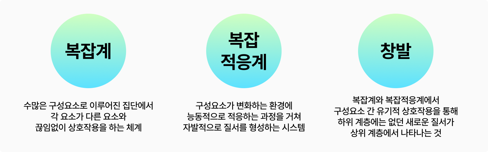 복잡계