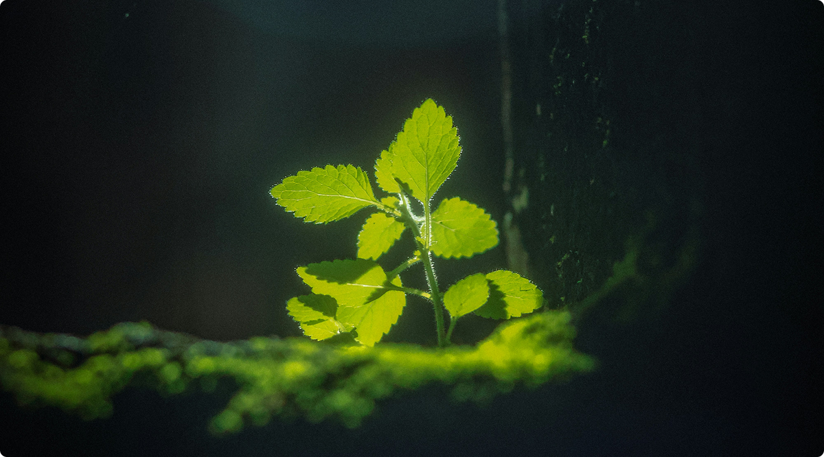 사진2-Nov-03-2025-03-03-05-7164-AM