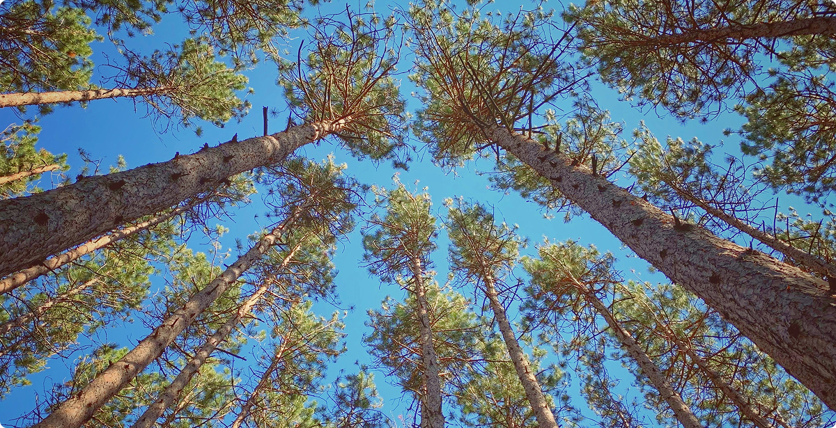 사진2-Oct-20-2025-07-04-58-7579-AM