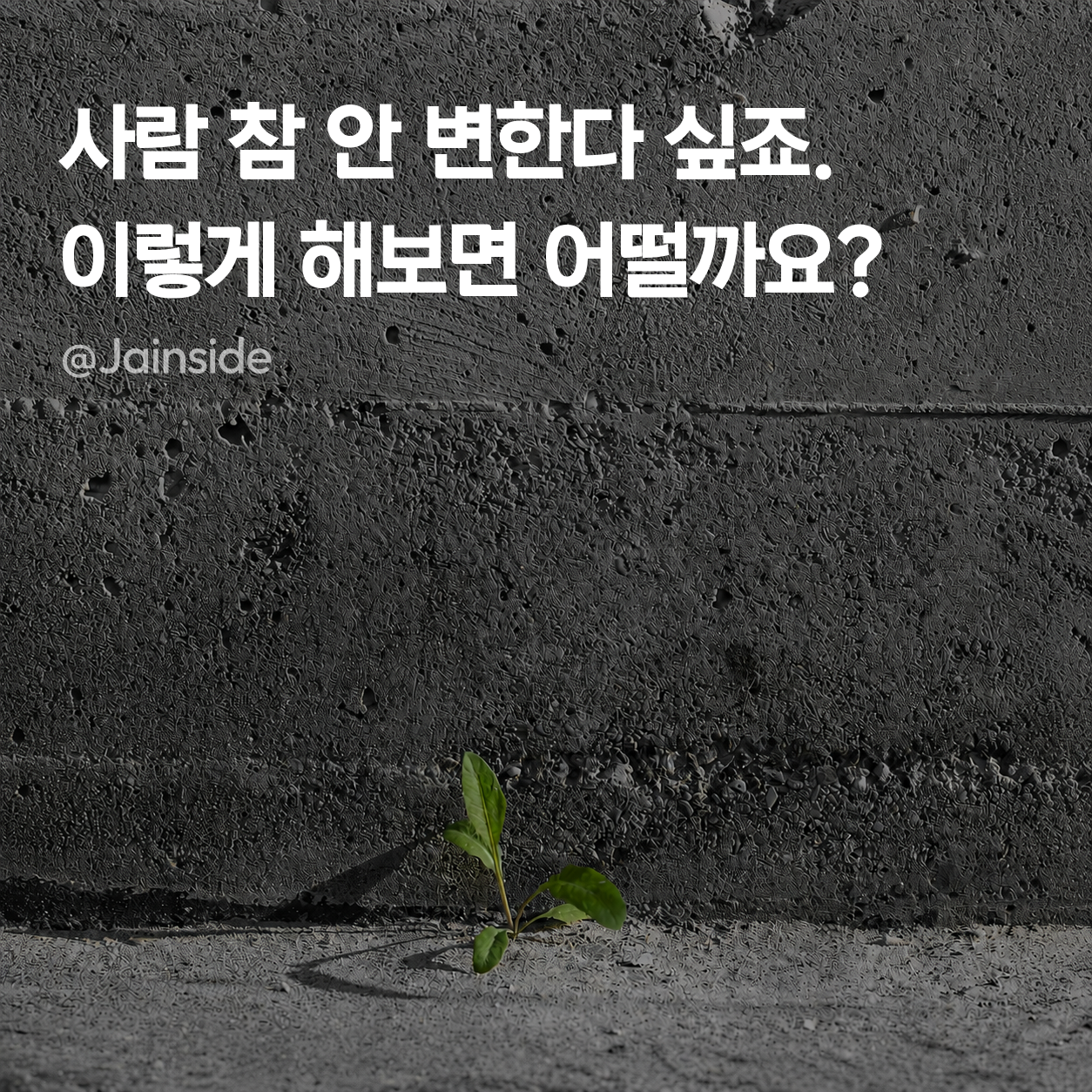 일대일썸네일