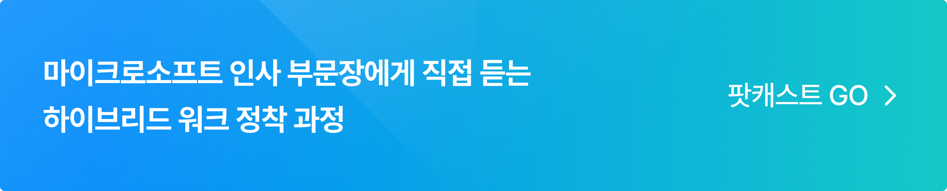하이브리드 워크