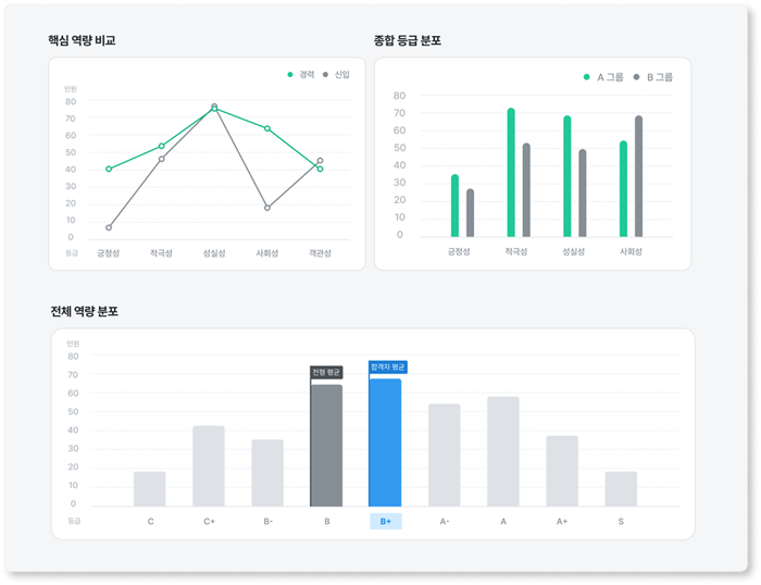 역량 및 등급 분포