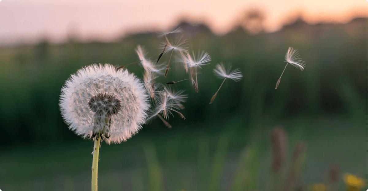 shutterstock_2646141391