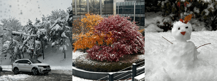 snow_Nov