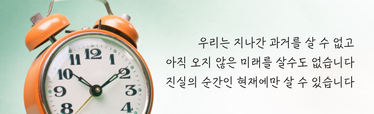 성장문답 Q12 모바일