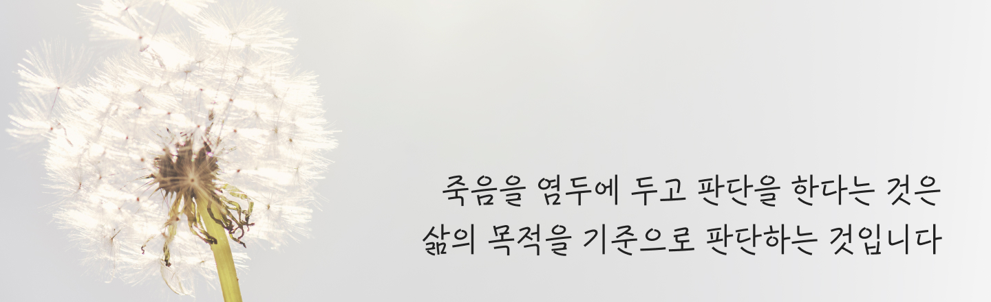 청년삶_36_mo