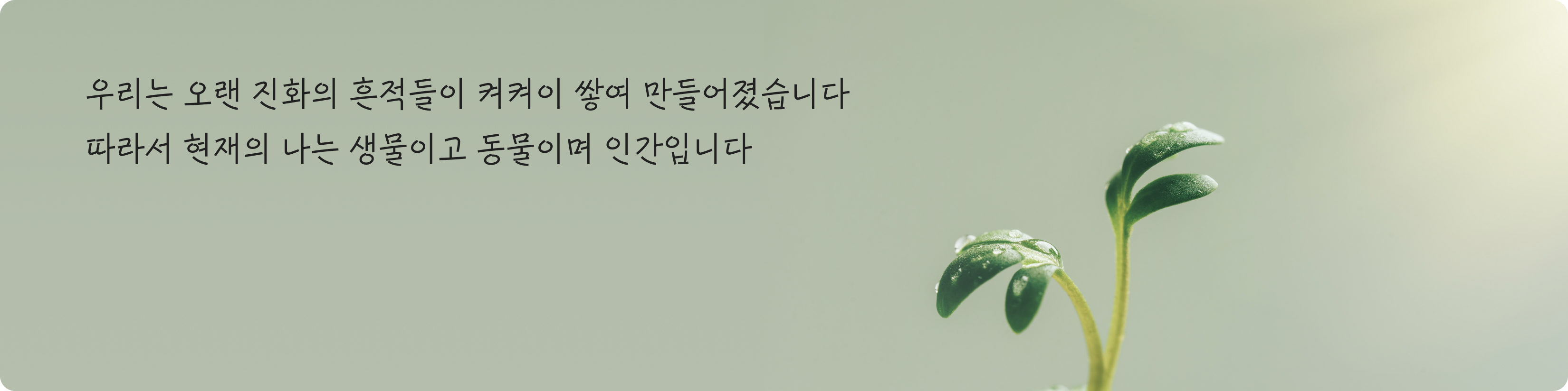 청년세상_60