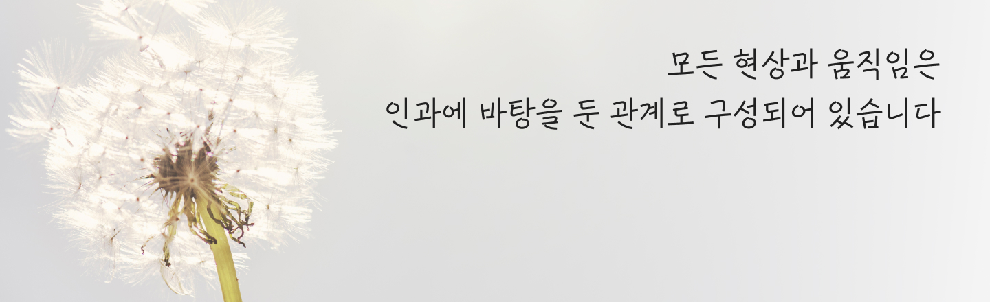 청년세상_61_mo